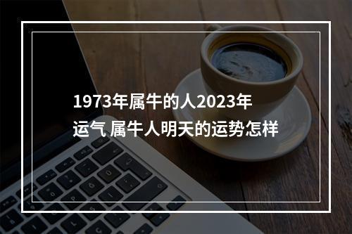 1973年属牛的人2023年运气 属牛人明天的运势怎样