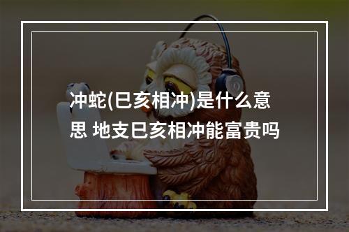 冲蛇(巳亥相冲)是什么意思 地支巳亥相冲能富贵吗