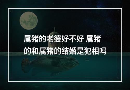 属猪的老婆好不好 属猪的和属猪的结婚是犯相吗