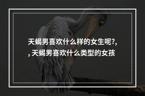 天蝎男喜欢什么样的女生呢?,, 天蝎男喜欢什么类型的女孩