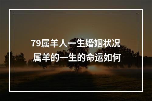 79属羊人一生婚姻状况 属羊的一生的命运如何