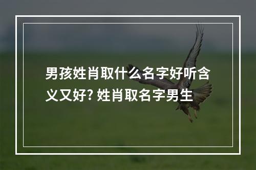 男孩姓肖取什么名字好听含义又好? 姓肖取名字男生