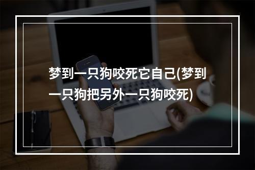 梦到一只狗咬死它自己(梦到一只狗把另外一只狗咬死)