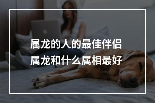 属龙的人的最佳伴侣 属龙和什么属相最好