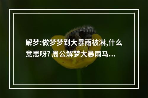 解梦:做梦梦到大暴雨被淋,什么意思呀? 周公解梦大暴雨马上来