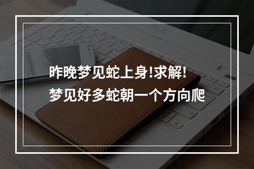 昨晚梦见蛇上身!求解! 梦见好多蛇朝一个方向爬