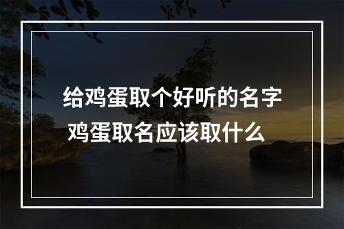 给鸡蛋取个好听的名字 鸡蛋取名应该取什么