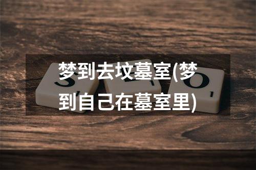 梦到去坟墓室(梦到自己在墓室里)