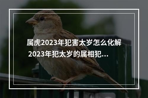 属虎2023年犯害太岁怎么化解 2023年犯太岁的属相犯太岁有几种