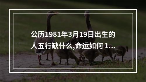 公历1981年3月19日出生的人五行缺什么,命运如何 1981年属鸡的人命中缺什么