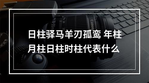 日柱驿马羊刃孤鸾 年柱月柱日柱时柱代表什么