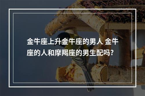 金牛座上升金牛座的男人 金牛座的人和摩羯座的男生配吗?