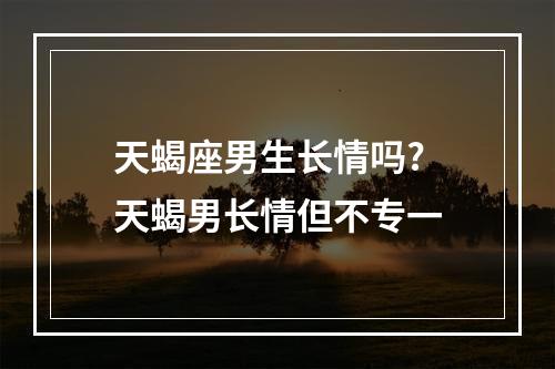 天蝎座男生长情吗? 天蝎男长情但不专一