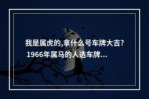 我是属虎的,拿什么号车牌大吉? 1966年属马的人选车牌号