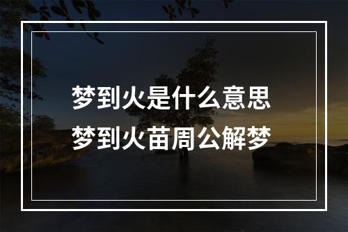 梦到火是什么意思 梦到火苗周公解梦