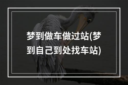 梦到做车做过站(梦到自己到处找车站)