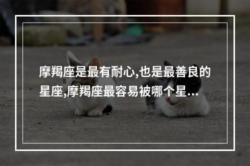 摩羯座是最有耐心,也是最善良的星座,摩羯座最容易被哪个星座降服? 容易让摩羯座偏爱的星座