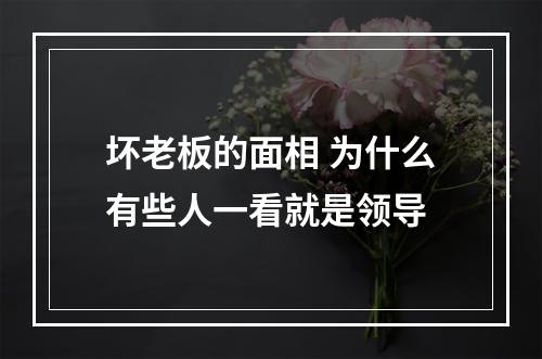 坏老板的面相 为什么有些人一看就是领导