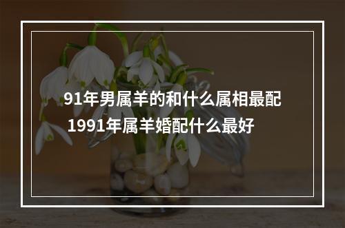 91年男属羊的和什么属相最配 1991年属羊婚配什么最好