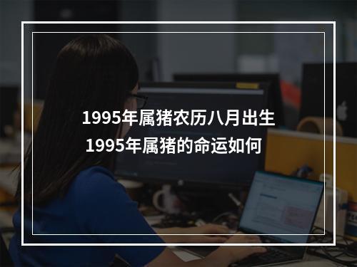 1995年属猪农历八月出生 1995年属猪的命运如何