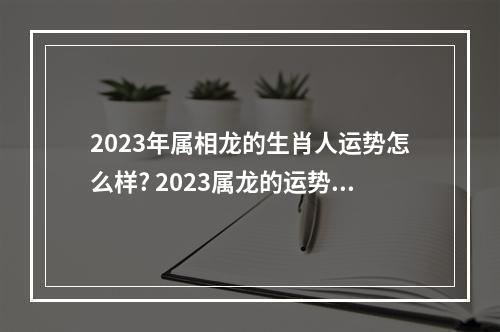 2023年属相龙的生肖人运势怎么样? 2023属龙的运势和财运怎么样