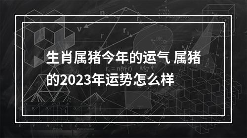 生肖属猪今年的运气 属猪的2023年运势怎么样