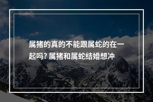 属猪的真的不能跟属蛇的在一起吗? 属猪和属蛇结婚想冲