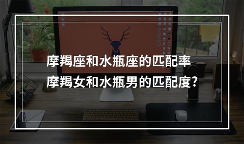 摩羯座和水瓶座的匹配率 摩羯女和水瓶男的匹配度?