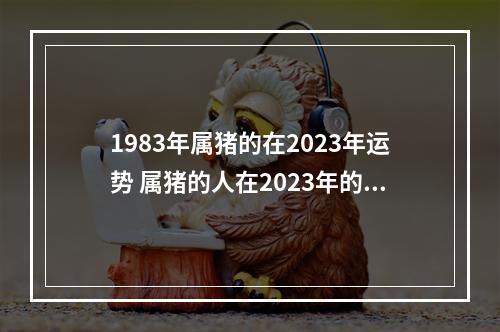 1983年属猪的在2023年运势 属猪的人在2023年的运势如何?