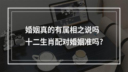 婚姻真的有属相之说吗 十二生肖配对婚姻准吗?