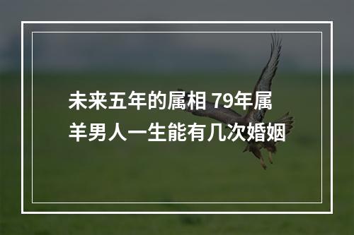 未来五年的属相 79年属羊男人一生能有几次婚姻