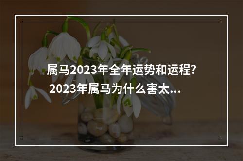 属马2023年全年运势和运程? 2023年属马为什么害太岁