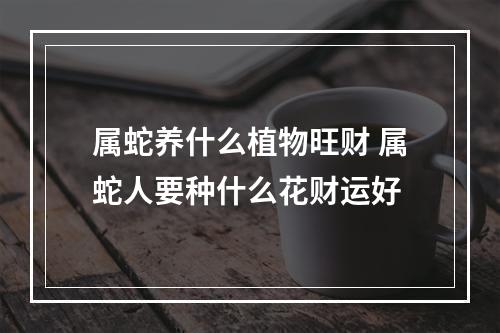 属蛇养什么植物旺财 属蛇人要种什么花财运好