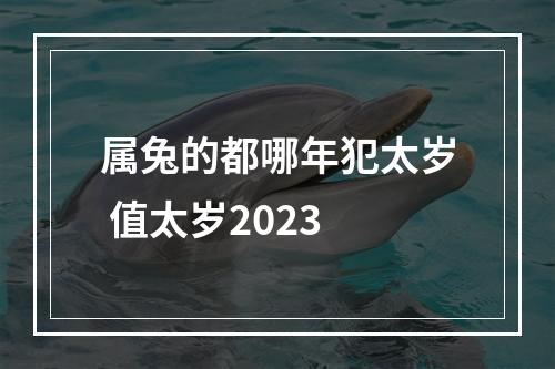 属兔的都哪年犯太岁 值太岁2023