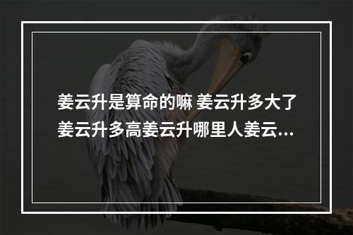 姜云升是算命的嘛 姜云升多大了姜云升多高姜云升哪里人姜云升为什么是道士姜云升...