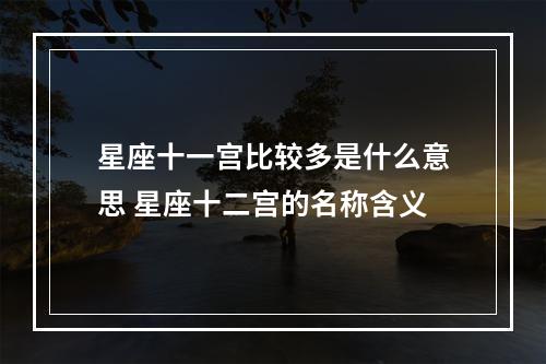 星座十一宫比较多是什么意思 星座十二宫的名称含义