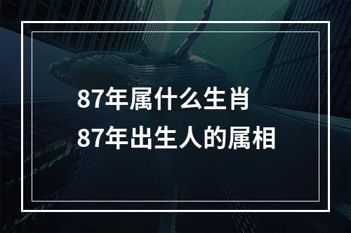 87年属什么生肖 87年出生人的属相