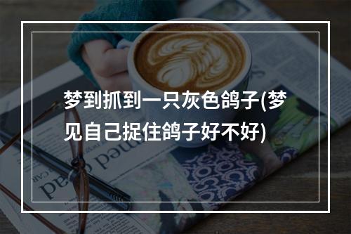 梦到抓到一只灰色鸽子(梦见自己捉住鸽子好不好)