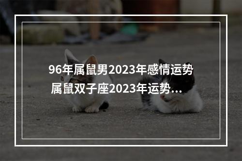96年属鼠男2023年感情运势 属鼠双子座2023年运势详解属鼠双子座2023年运势分析完整版