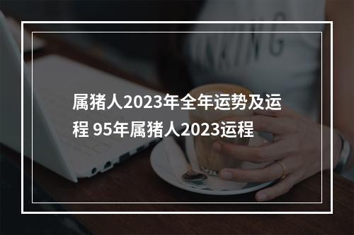 属猪人2023年全年运势及运程 95年属猪人2023运程