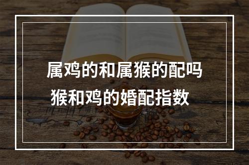 属鸡的和属猴的配吗 猴和鸡的婚配指数
