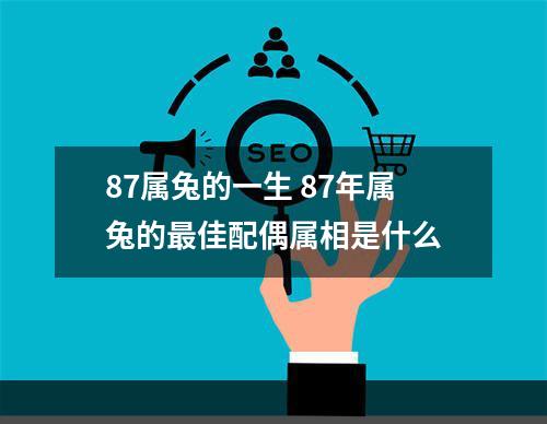 87属兔的一生 87年属兔的最佳配偶属相是什么