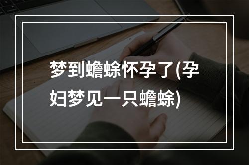 梦到蟾蜍怀孕了(孕妇梦见一只蟾蜍)