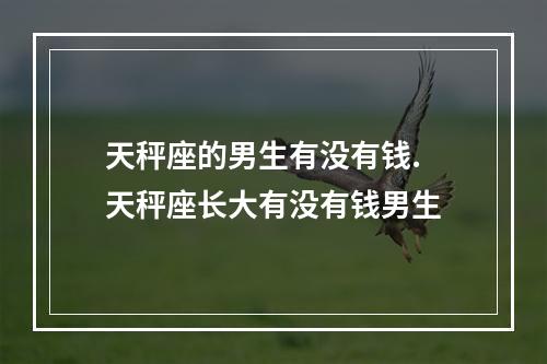 天秤座的男生有没有钱. 天秤座长大有没有钱男生