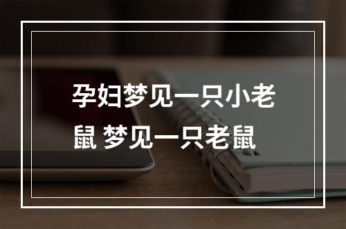 孕妇梦见一只小老鼠 梦见一只老鼠