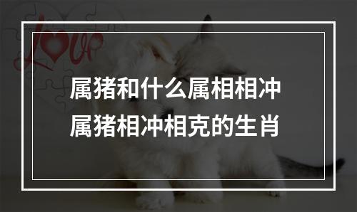 属猪和什么属相相冲 属猪相冲相克的生肖