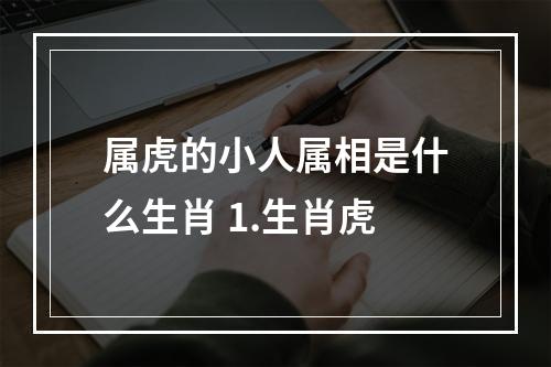 属虎的小人属相是什么生肖 1.生肖虎