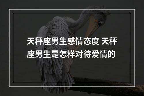天秤座男生感情态度 天秤座男生是怎样对待爱情的