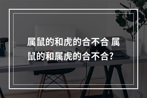 属鼠的和虎的合不合 属鼠的和属虎的合不合?