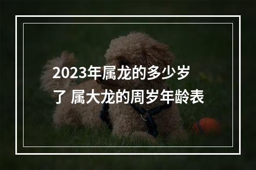 2023年属龙的多少岁了 属大龙的周岁年龄表